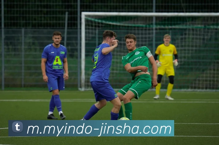 金沙国际服务体系